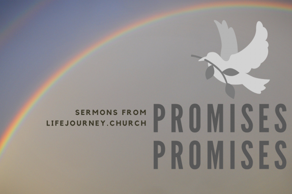Promies Promises